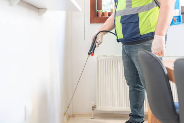 Best Flea Control Services  in Beach Park, IL