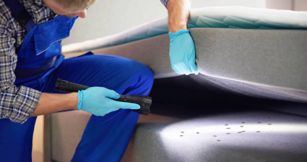 Best Commercial Pest Control Services  in Beach Park, IL
