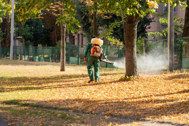 Best Insect Control  in Beach Park, IL