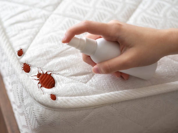 Best Best Pest Control Companies  in Beach Park, IL