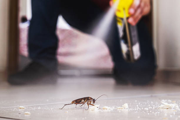 Best Pest Removal Services  in Beach Park, IL